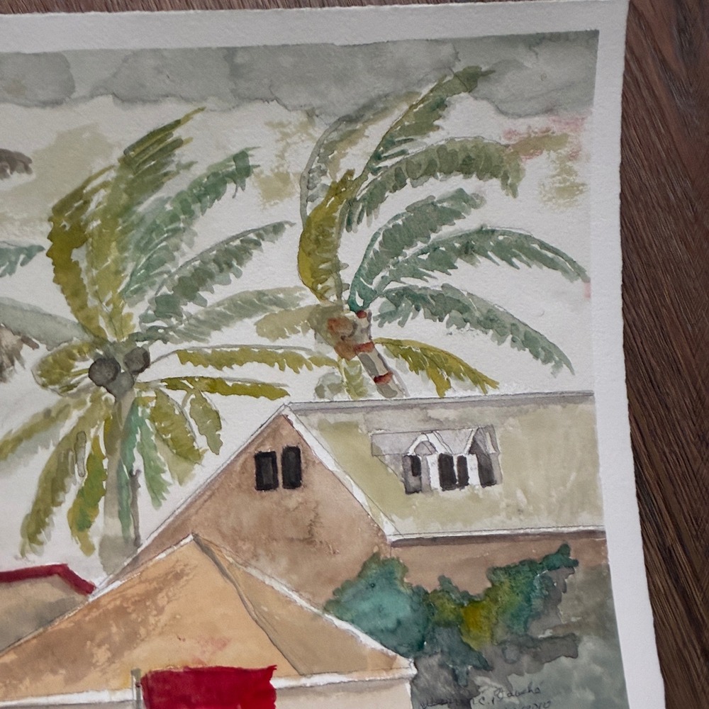 Warren C Plauche Watercolor Painting Hurricane in the Bahamas Coconuts - Picture 3 of 8